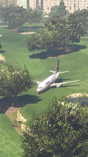 Sudden Engine Smoke Pilot Attempts Emergency Landing in Golf Park