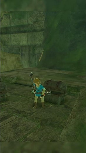 Link Unlocks The Tunic of the Wild Armor in Breath of the Wild