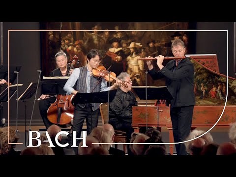 Bach - 'Brandenburg' Concerto no. 5 in D major BWV 1050 - Sato | Netherlands Bach Society
