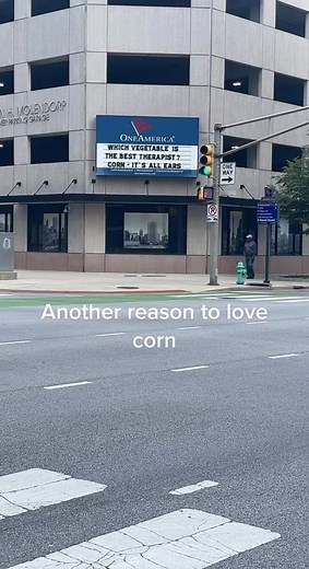 Sharon Belt Leatherm on TikTok