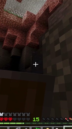 I almost died of fright #minecraft #creeper #fyp #viral