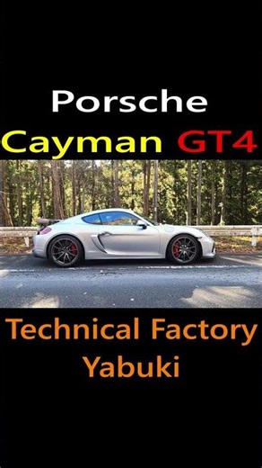 PORSCHE Cayman GT4 981 #porsche #caymangt4 #gt4