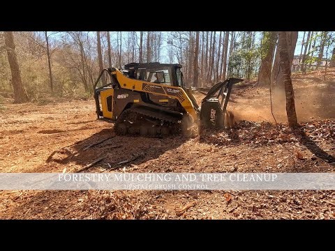 Forestry Mulching And Tree Cleanup