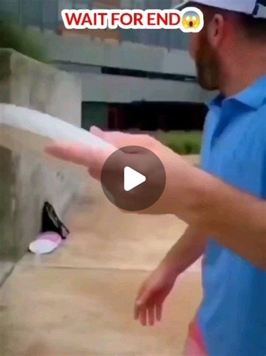 Daily Crafts Zone | Flying high with these paper plane crafts! ✈️ #PaperPlaneFun Let your creativity soar with these DIY paper planes! 🌟 #CraftyVibes Taking... | Instagram