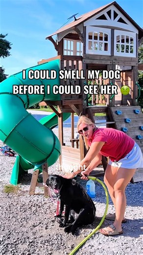 How I bathe my dog outside when she gets dirty 🐶 water hose, dawn dish soap + sunshine #dogbath