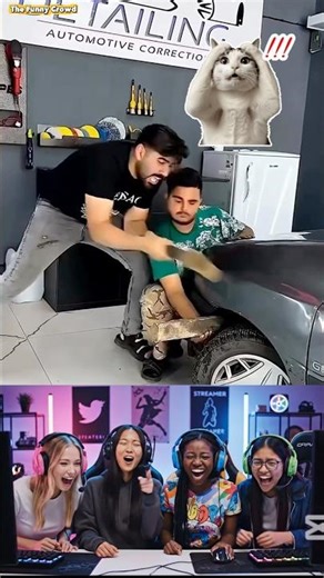 You Won’t Expect This Ending 😳 #shorts #funny #fail #viral
