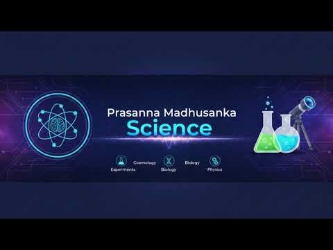 Zoom Pro's Zoom Meeting