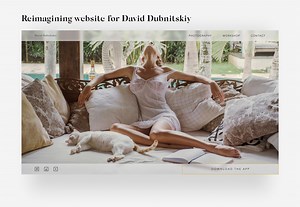 Reimagining website for David Dubnitskiy - Armin Mujkić