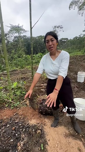 Comienza a Compostar en Casa con Agrovivas