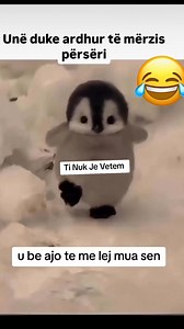 U be ajo te me lej mua sen🤣😋 | Ti Nuk Je Vetem