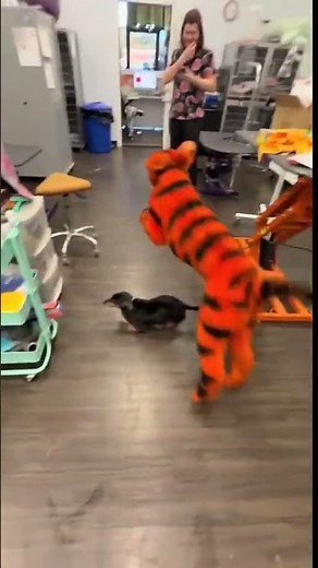 Dog Dressed as Tigger from Winnie the Pooh – The Cutest Halloween Costume! 🐾🧡