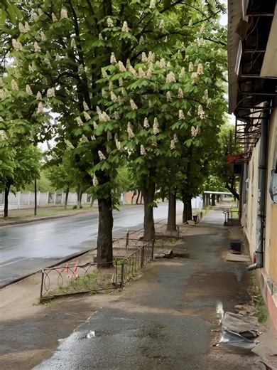 Ізюм до і зараз… 🙏 #IzyumLive #izyum_live