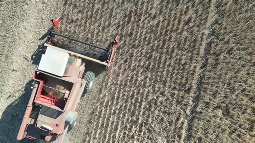 32 reactions | So why on earth is a potato farm growing soybeans? We...