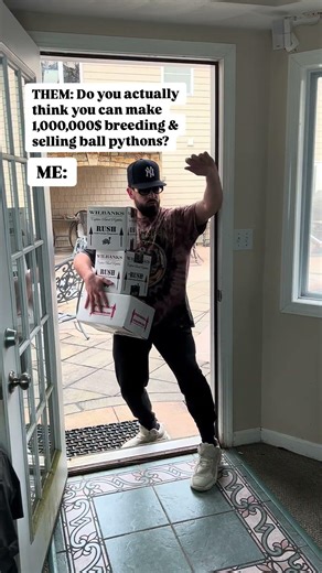 Do You Think You Can Make $1,000,000 Breeding Ball Pythons?!?