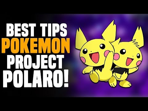 THE BEST TIPS FOR POKEMON PROJECT POLARO
