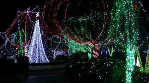 Columbus Zoo Wildlights Opens to Public