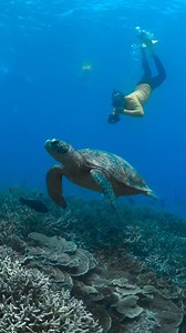 9.3K views · 371 reactions | The moment  The best wildlife photographers are masters at getting close to the animals they photograph, yet also keeping their distance and respecting nature. It’s a tricky balance. Taking steps to make sure that your wildlife photography practice is as ethical as possible is important for the animals you photograph. | Master Reef Guides | Facebook