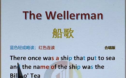 The Wellerman 船歌 视频版