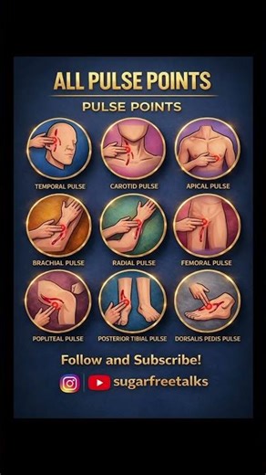 Which are the diffrent pulse points?😳