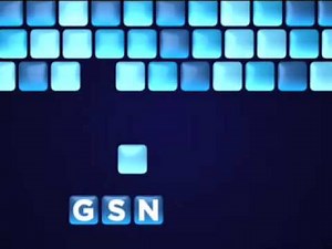 GSN Rebrand 2008