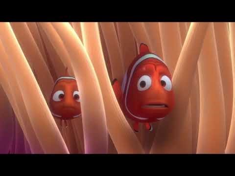 Finding Nemo Beginning Scene