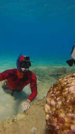 I Wanna Play Mermaids Too – Unexpected Pool Chaos