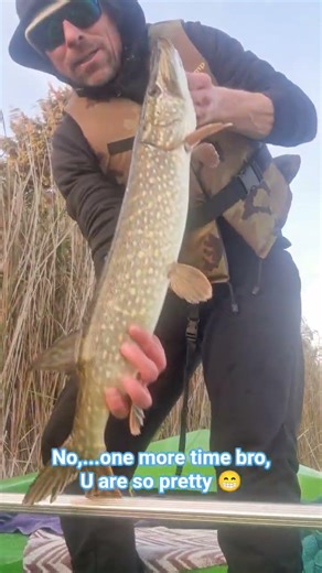 Pike from Poland🇵🇱🎣👍Catch and release