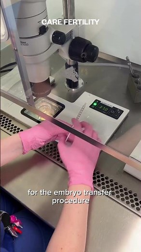 Inside Our Lab Part 4: Blastocyst & Embryo Transfer