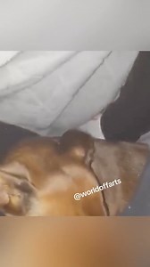 945K views · 12K reactions | Fart compilation ! #fart #compilation #top10 #viral #reelkarofeelkaro #reels2024 #reelsoftheday #reseller #reelviral #Foryou #Facebook #reelitfeelit #reelschallenge #foryoupage #sneakers #viral #sneakerhead #blowthisup #viralvideo #usa #thebest #reelsviralfb #reelsvideoシ #reelsforyou #reelfacebook #reelsfacebook #reels2024 #reelviral | San Star Fc | Facebook