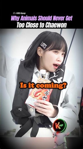 Why Animals Should Never Get Too Close to Chaewon