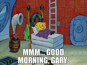 Mmm... good morning, Gary.