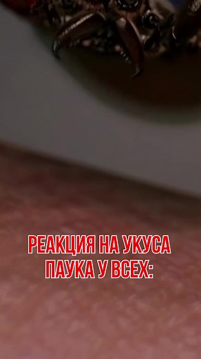 #MARVEL