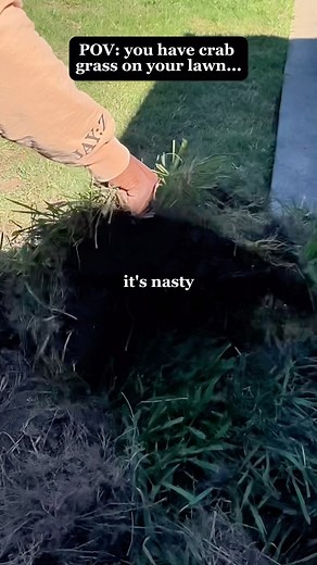 14K views · 64 reactions | When you have crab grass on your lawn… You...