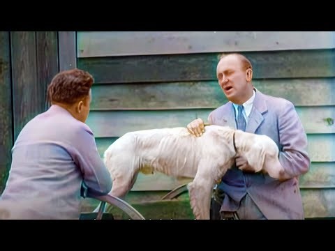 [4k 60fps Colorized] Ty Cobb - 1930 Interview from his Hunting Lodge in Magruder, Georgia