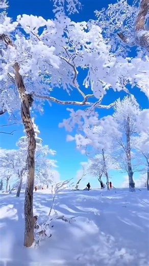 VividVoyage on Instagram: "Wusong Island, a snow town in China"