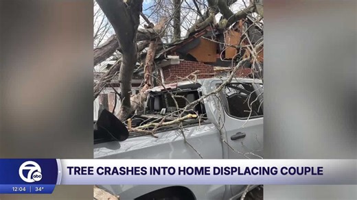 A tree crashed into a Redford Township home during high winds, displacing a couple