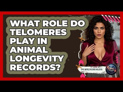 What Role Do Telomeres Play In Animal Longevity Records? - Epic World Record Holders