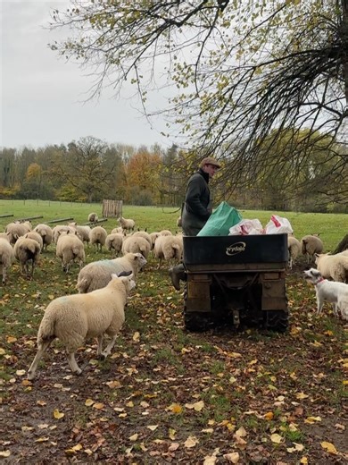 Savills Rural on Instagram: "“Living and working in the Cotswolds gives you an incredible insight into the area,” says rural agent Will Chanter. Discover why understanding local schools, towns, and communities is vital to rural agency and why the Cotswolds is more than just a workplace for Will, its home. Click the link in our bio 🔗"