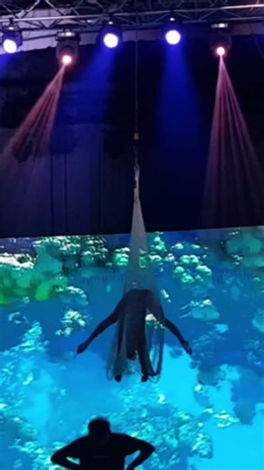 Aerial Net Performance by Viva Vertical