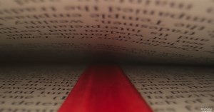 Everyday Objects Through the Eyes of a One of a Kind Macro ‘Probe’ Lens