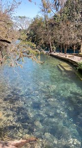 Este Lugar Se Llama Paraíso Aventura Aquí Les Dejo El Núm…. Del Encargado para que Pregunten 482-102-0543 #naturaleza | El Mejor Guia Local