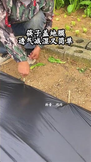 Maximize Your Garden Coverage - DIY Plastic Ground Film Guide