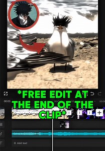 CapCut Tutorial: Quick CapCut Pioneer Editing Tips