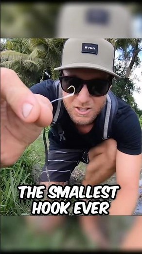 How to Catch a Snake 🐍