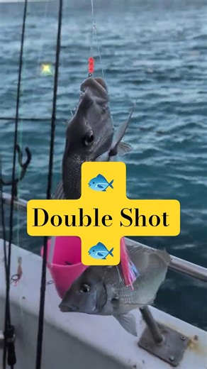 🐟 Double Shot 🐟#fishing #porgy