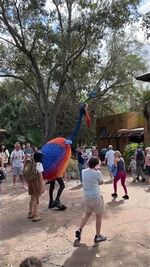 Kevin the Snipe Causing Traffic 🐦 | Animal Kingdom