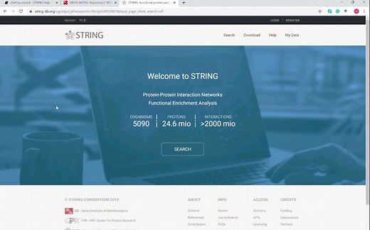 用STRING网站预测蛋白之间互作关系