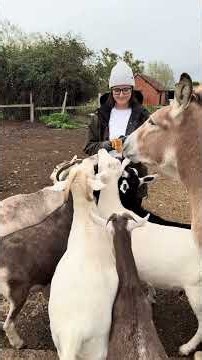 Greetings and good morning it’s the Sunday farm rush hour with Kate