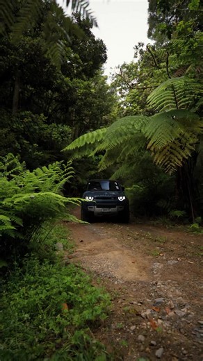 Imagine an event where you don’t just watch the action — you drive it. Our Card Members got exclusive access to a next-level 4WD day, putting the Defender to the test alongside a delicious locally-sourced lunch. *Ticketed Event *Amex Insurances on your Card do not cover off-road driving *T&C’s apply | American Express