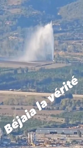 33K views · 286 reactions | Monsieur le Directeur des services des...